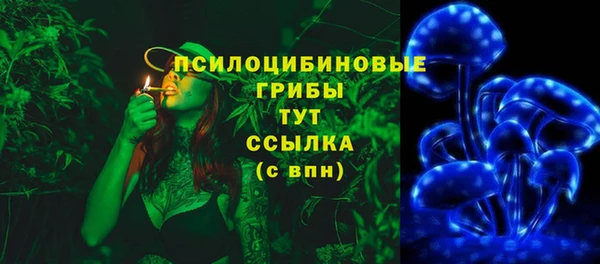 прущий лед Алексеевка
